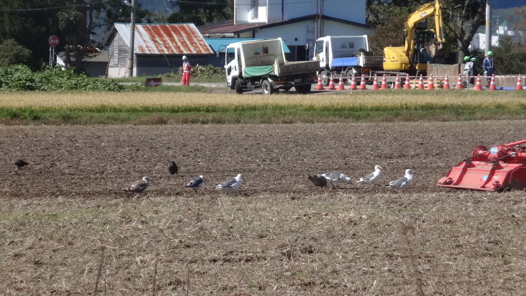 f:id:hatekota810:20180920185454j:plain