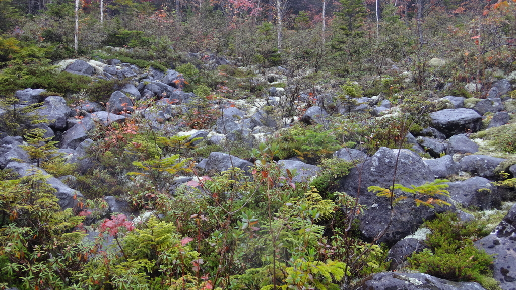 f:id:hatekota810:20180924113138j:plain