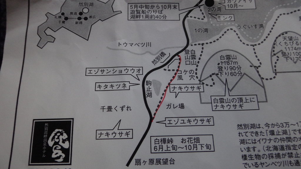 f:id:hatekota810:20180926184050j:plain