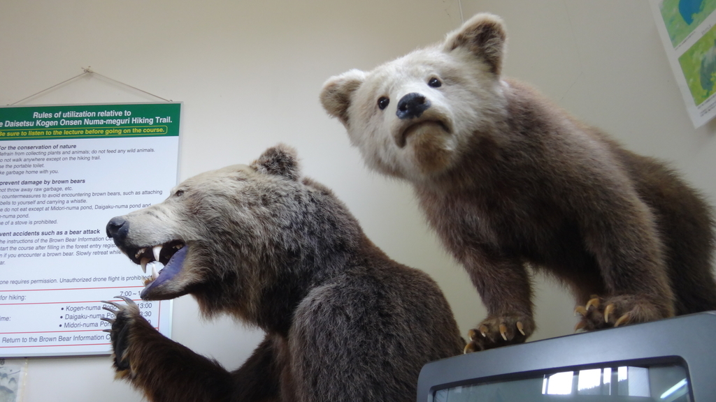 f:id:hatekota810:20180926190037j:plain