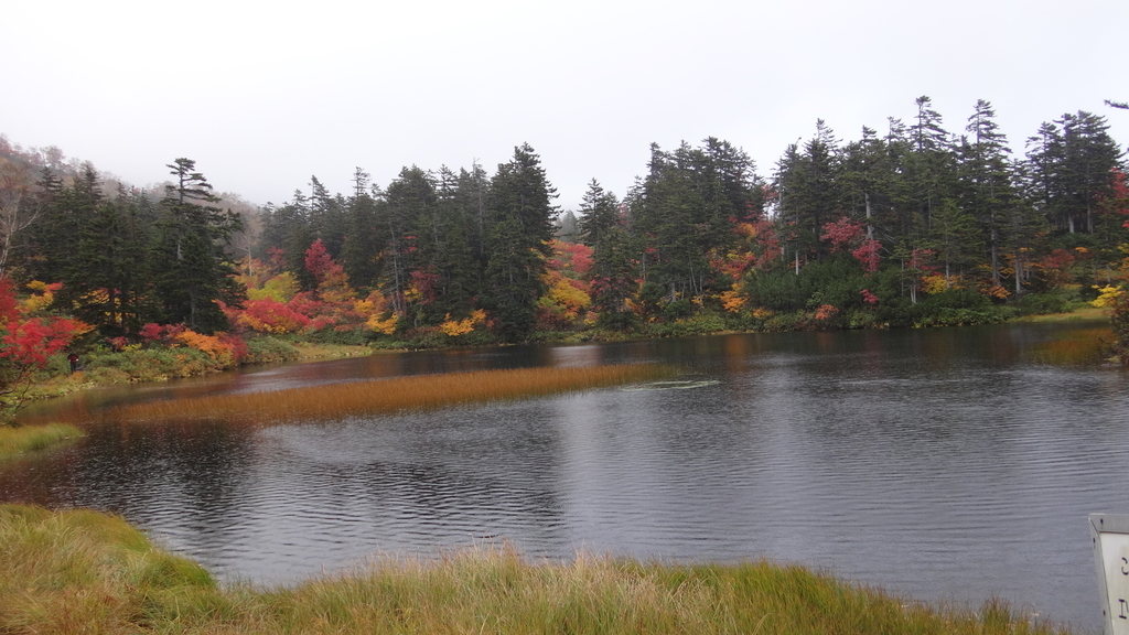 f:id:hatekota810:20180926191812j:plain