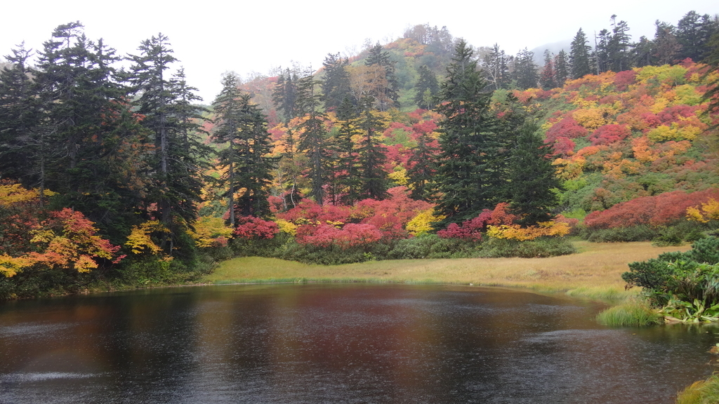 f:id:hatekota810:20180926191948j:plain