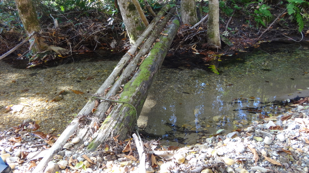 f:id:hatekota810:20181027184142j:plain