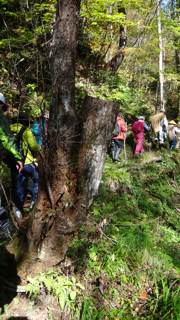 f:id:hatekota810:20181027191655j:plain