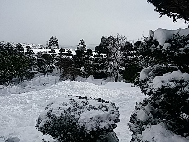 f:id:hatekota810:20181209100446j:plain