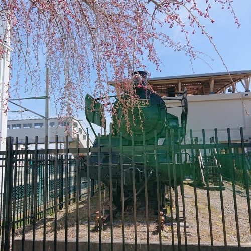 f:id:hatekota810:20190422080757j:plain