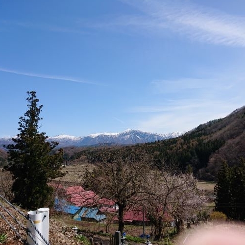 f:id:hatekota810:20190422081020j:plain