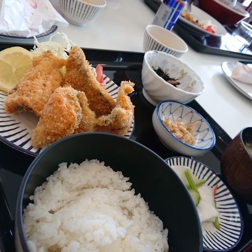 f:id:hatekota810:20190423144832j:plain