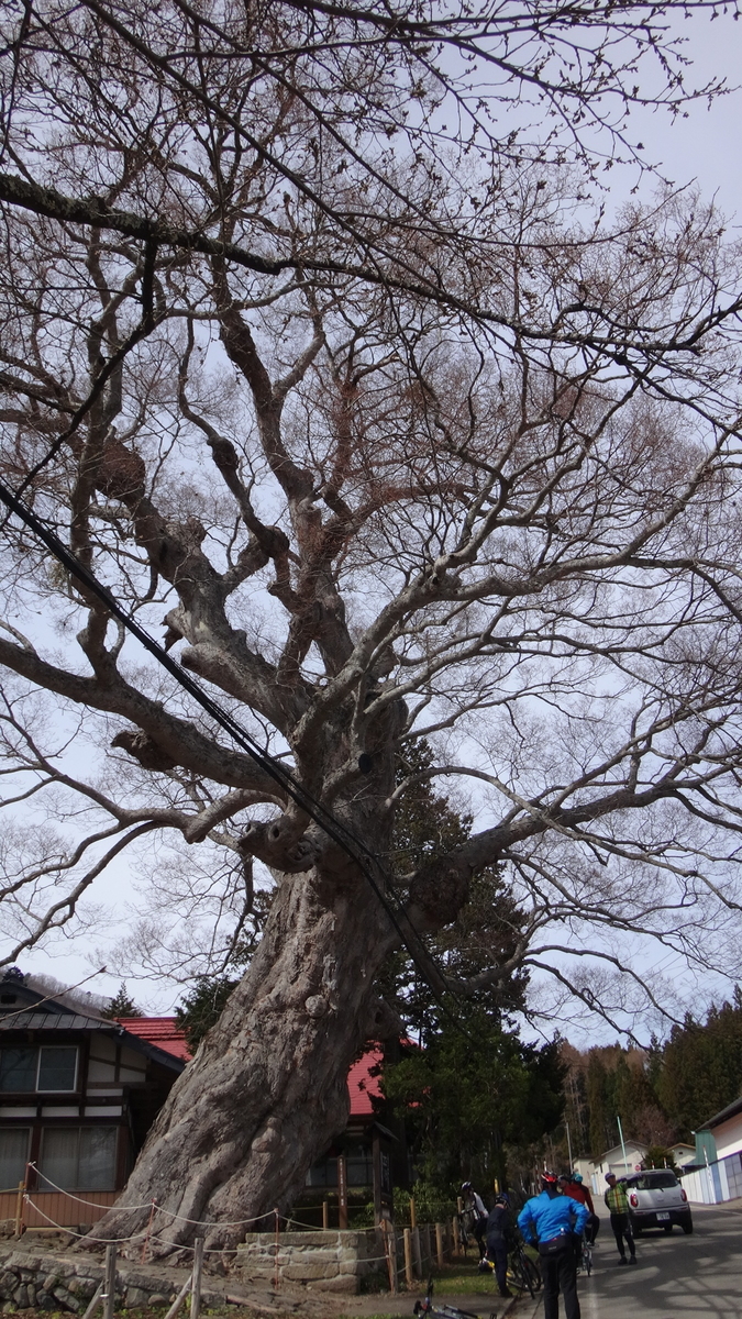 f:id:hatekota810:20190425071707j:plain