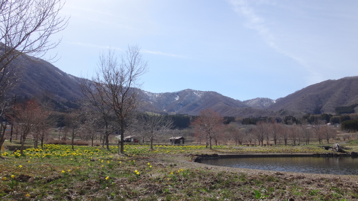 f:id:hatekota810:20190425072705j:plain