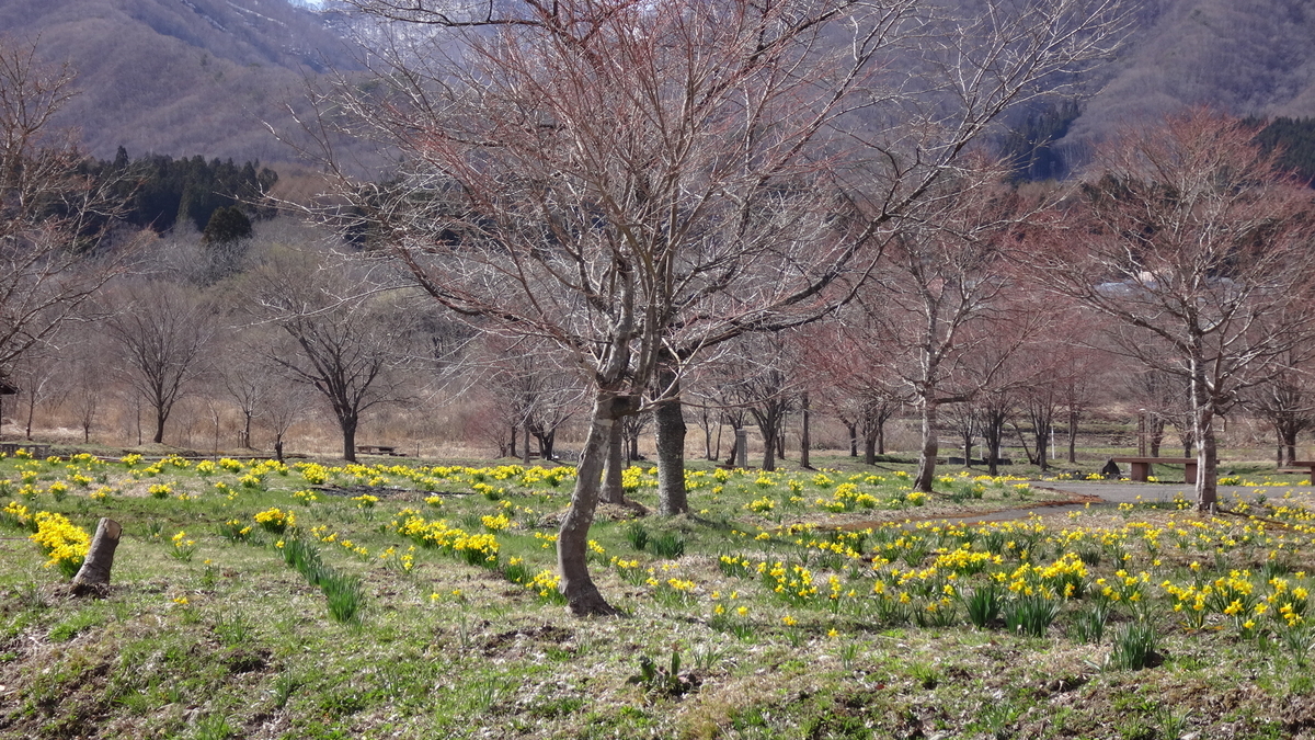 f:id:hatekota810:20190425072733j:plain