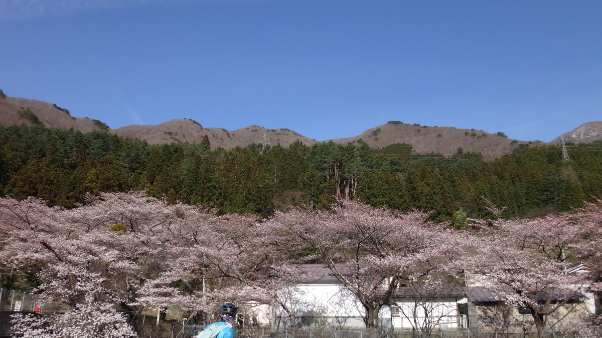 f:id:hatekota810:20190425073623j:plain