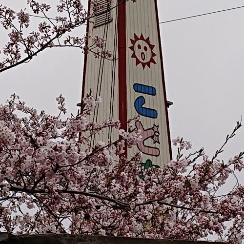 f:id:hatekota810:20190426194357j:plain