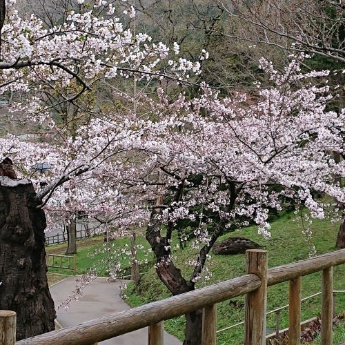 f:id:hatekota810:20190426194651j:plain