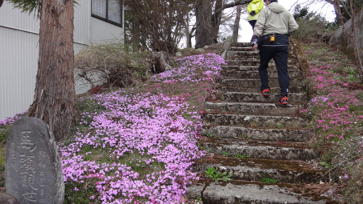 f:id:hatekota810:20190501070902j:plain