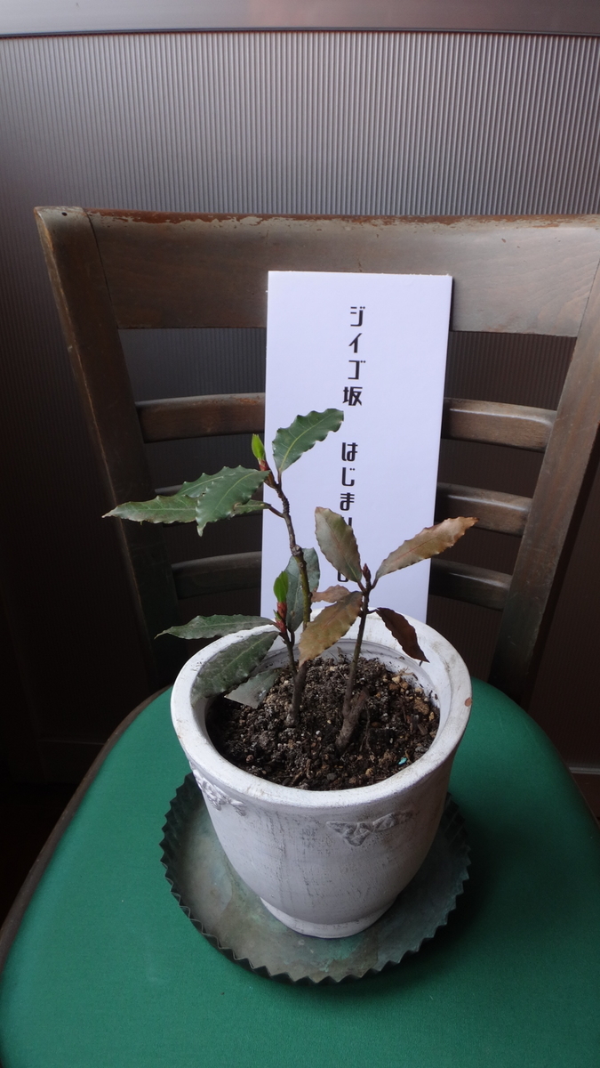 f:id:hatekota810:20190501071535j:plain