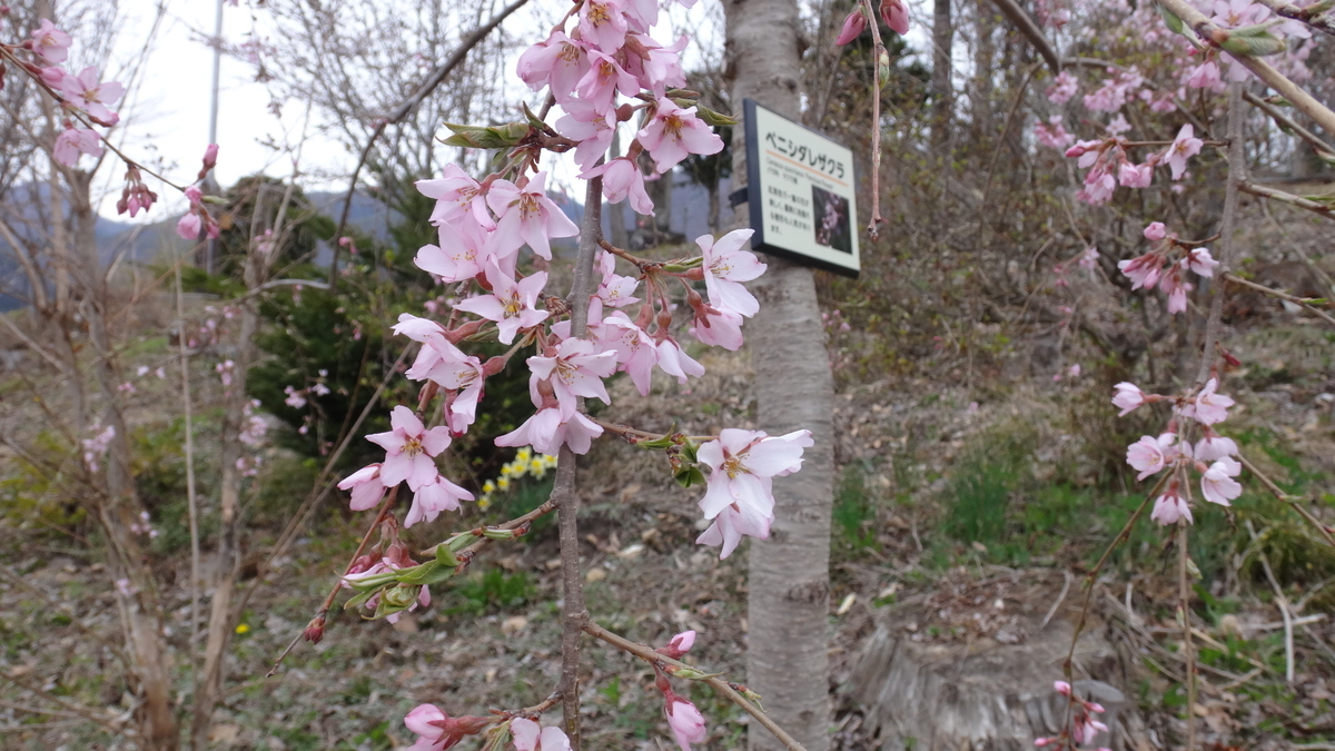 f:id:hatekota810:20190501072517j:plain