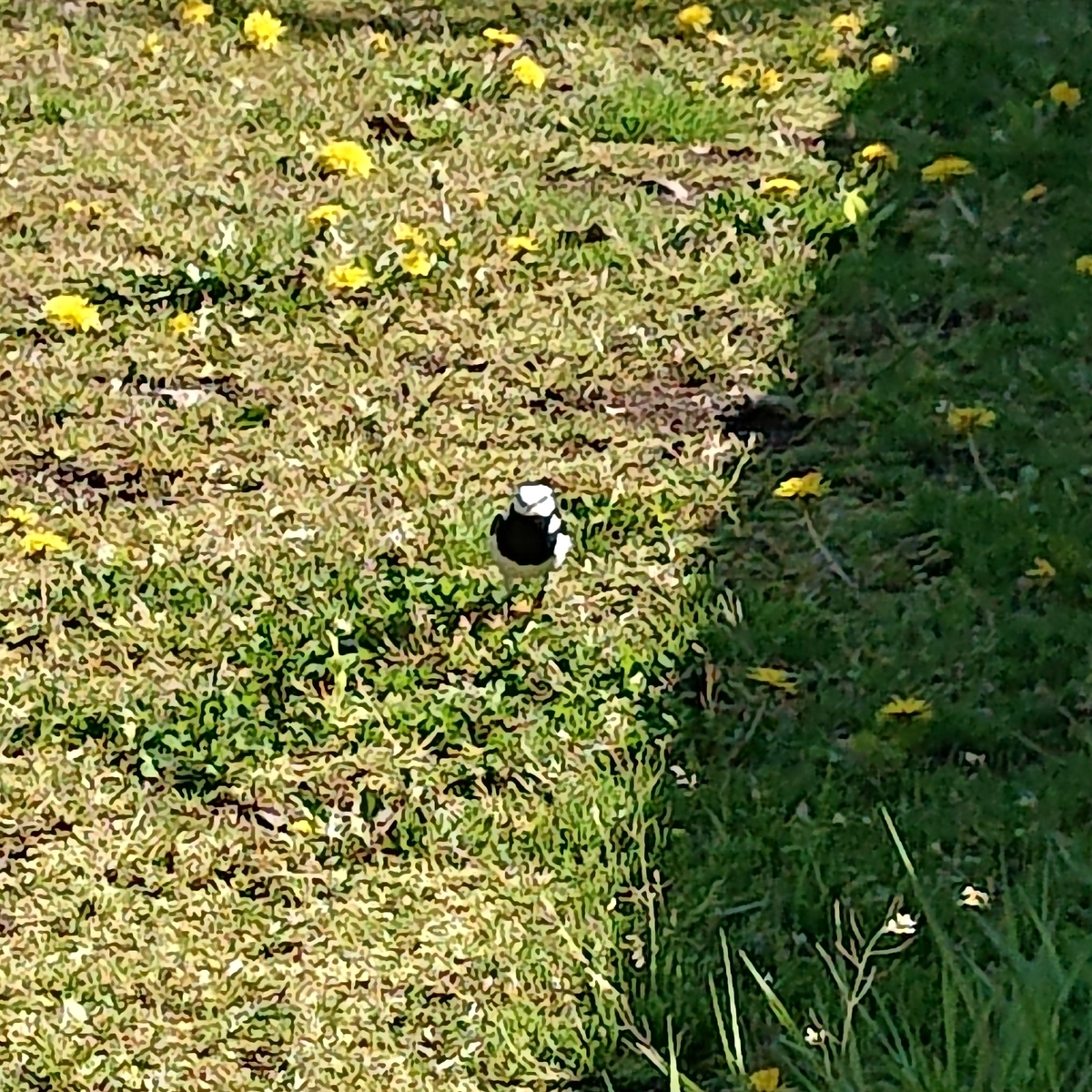 f:id:hatekota810:20190507162044j:plain