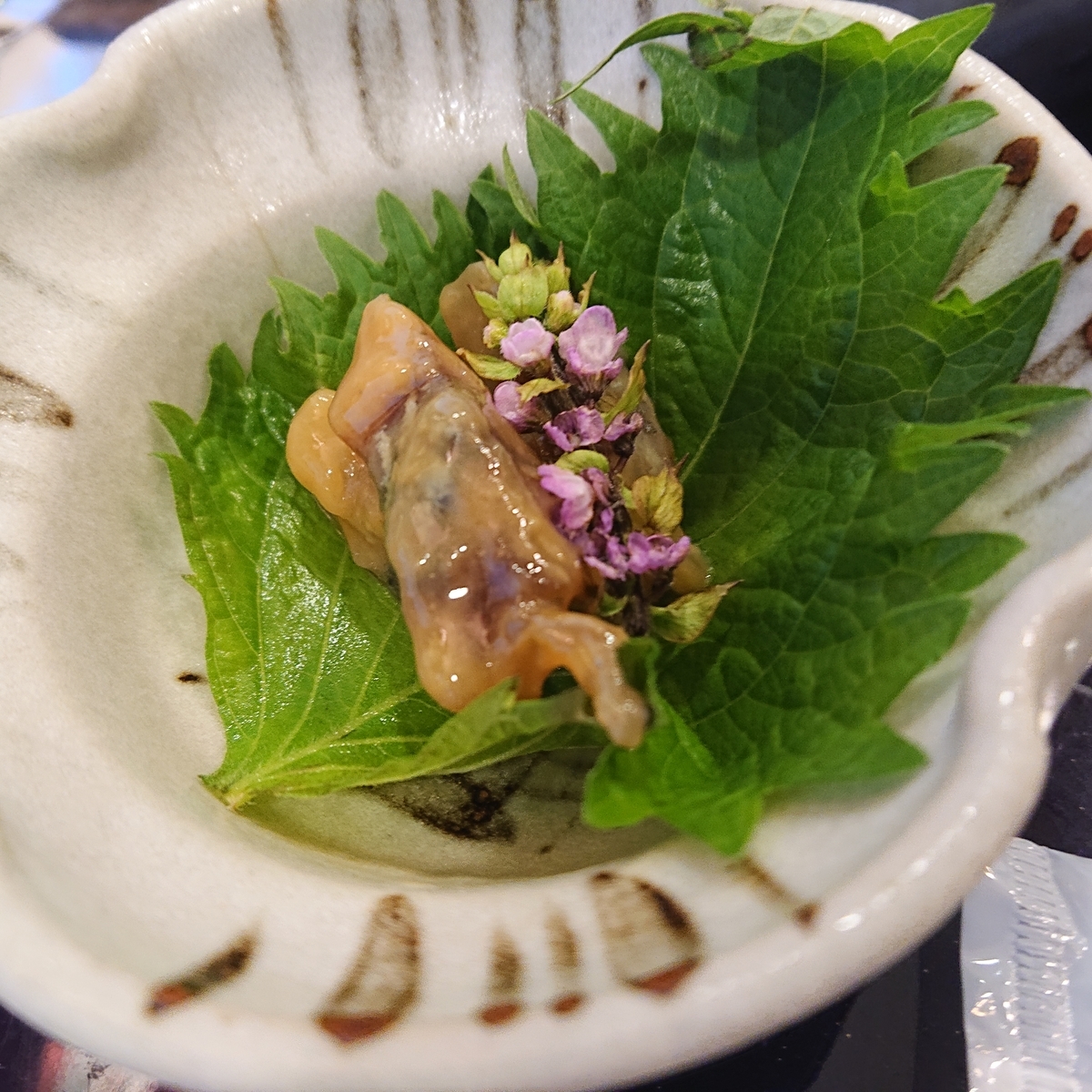 f:id:hatekota810:20190706175402j:plain