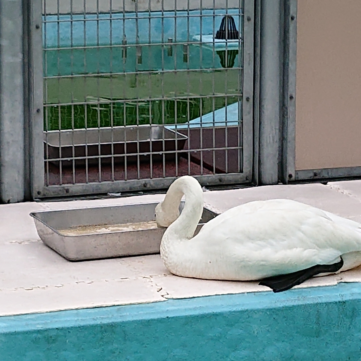 f:id:hatekota810:20190815150154j:plain