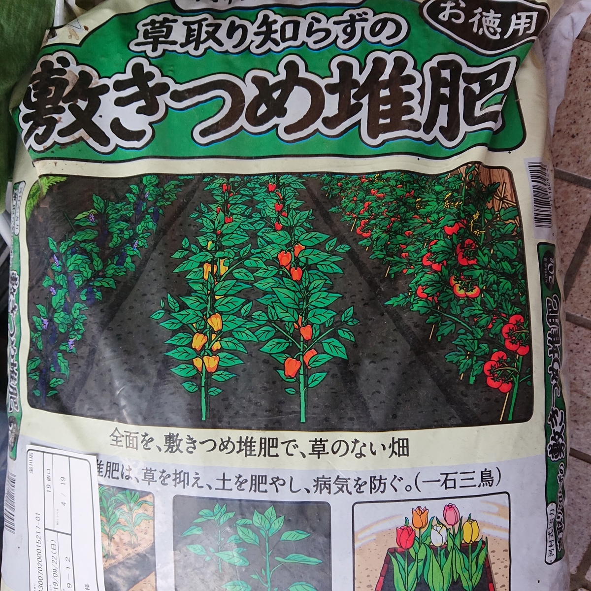 f:id:hatekota810:20190922215337j:plain