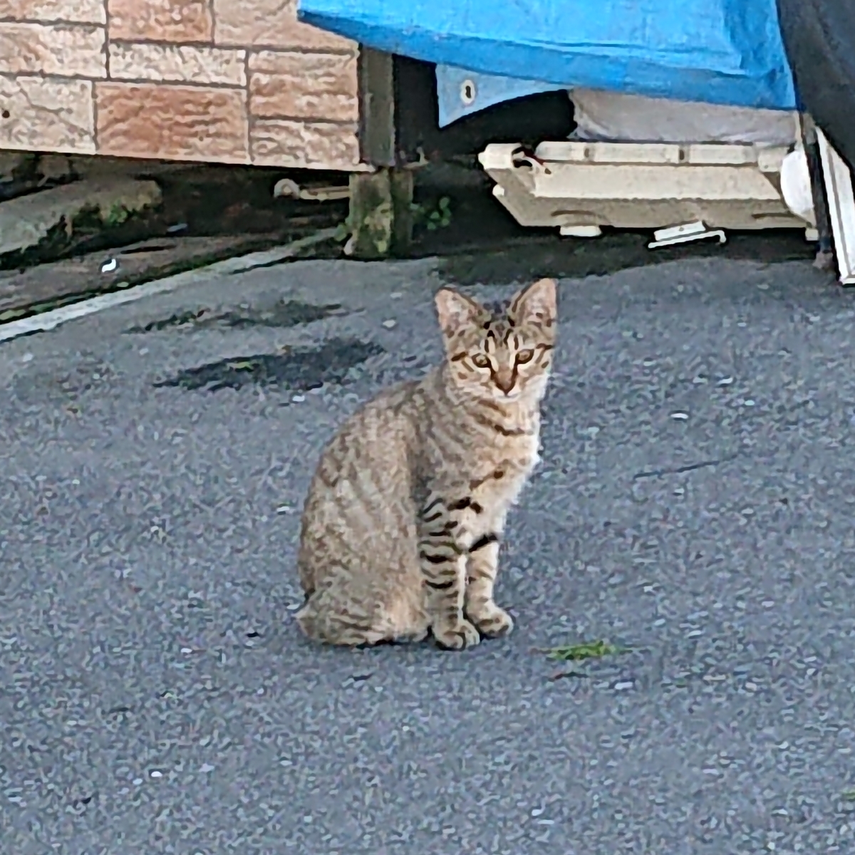 f:id:hatekota810:20190930145356j:plain