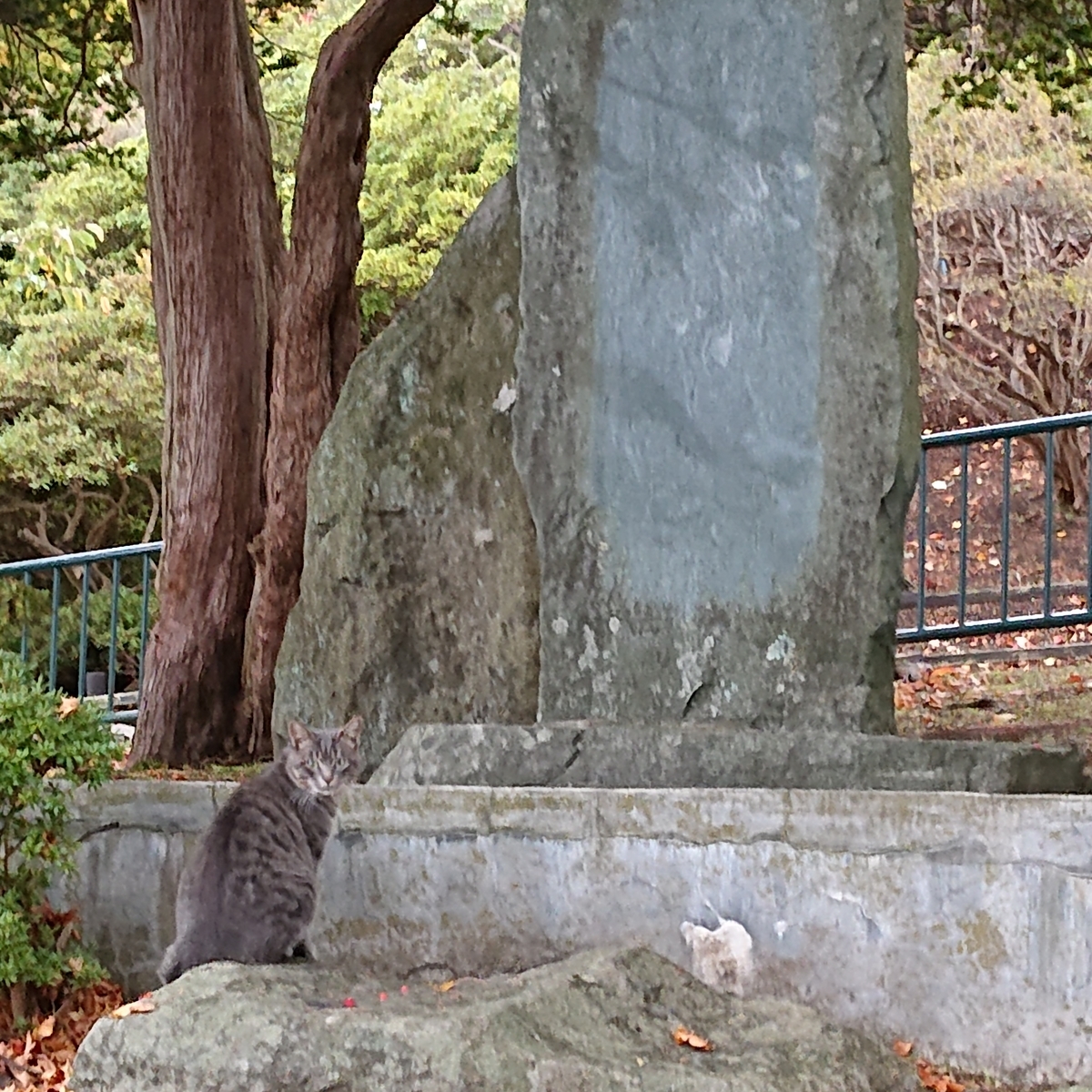 f:id:hatekota810:20191031175328j:plain