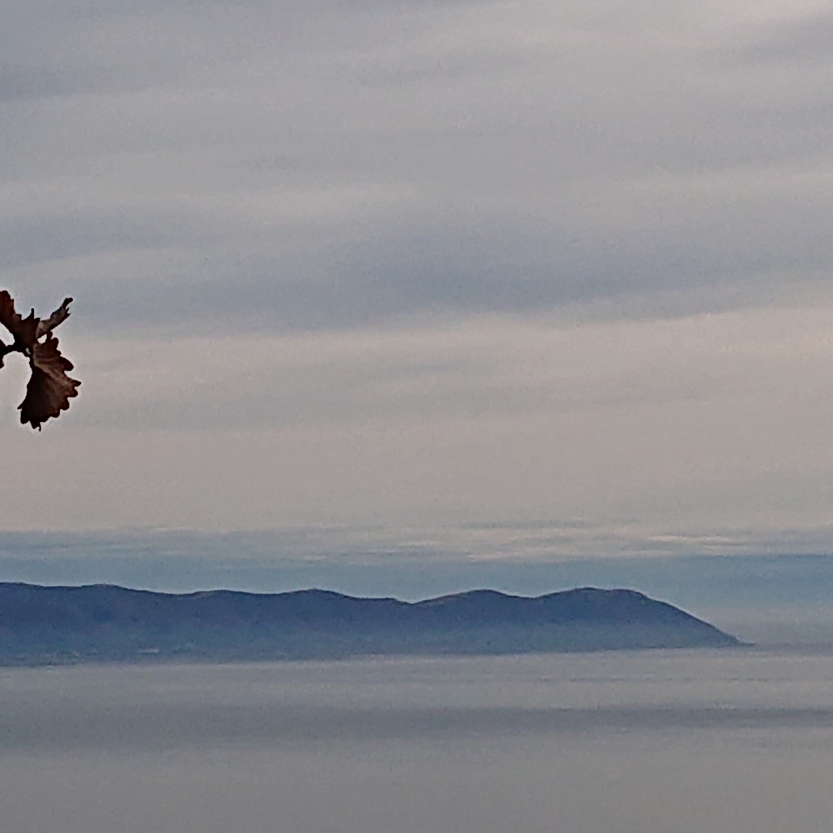 f:id:hatekota810:20191126152458j:plain