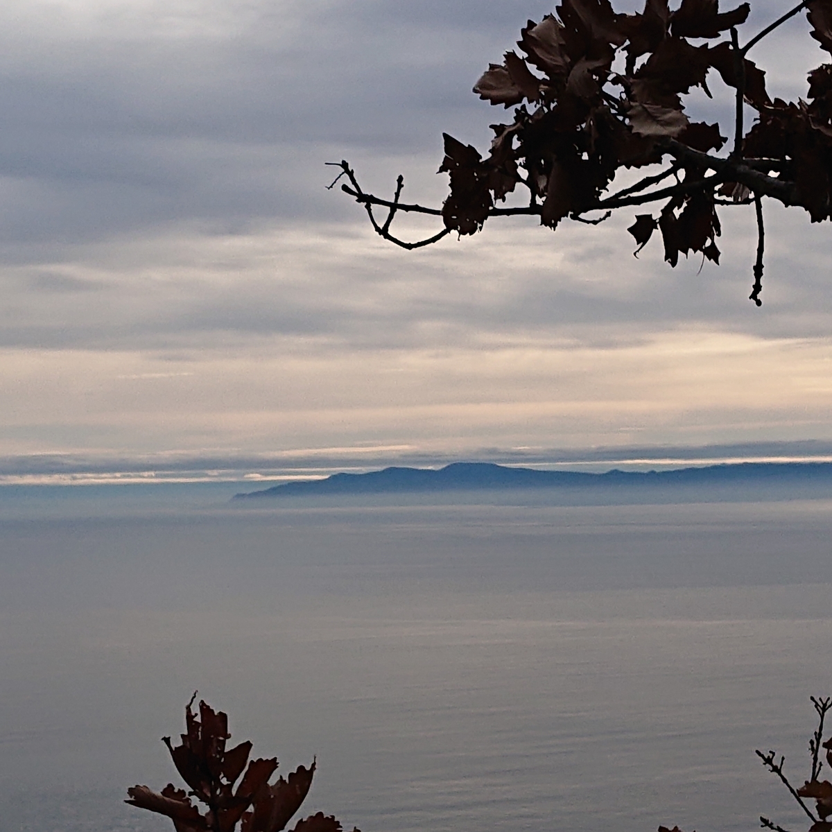 f:id:hatekota810:20191126152823j:plain