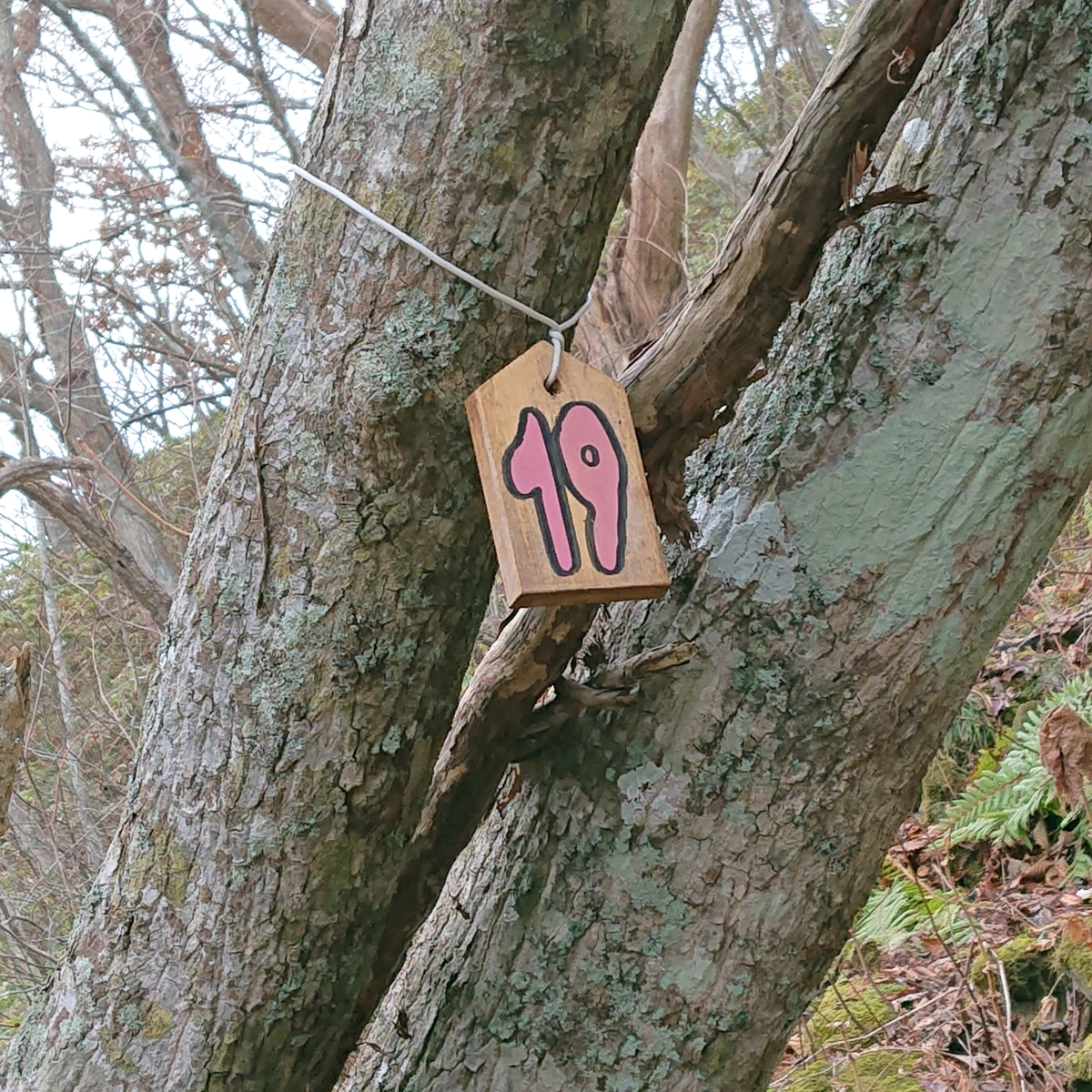 f:id:hatekota810:20191126154809j:plain