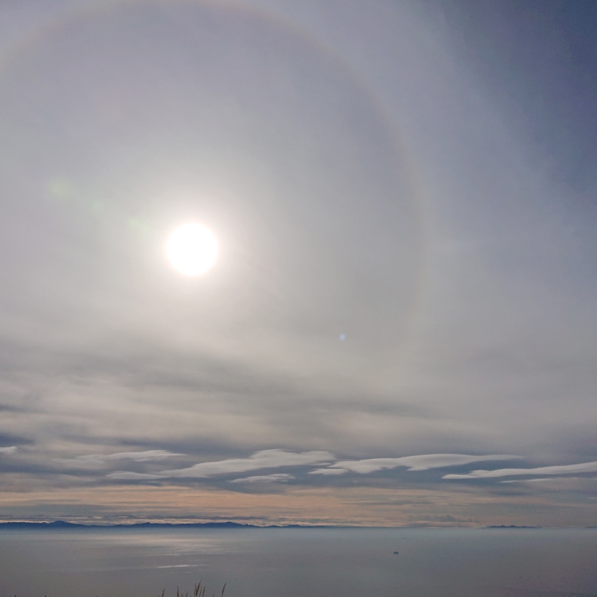 f:id:hatekota810:20191126161320j:plain