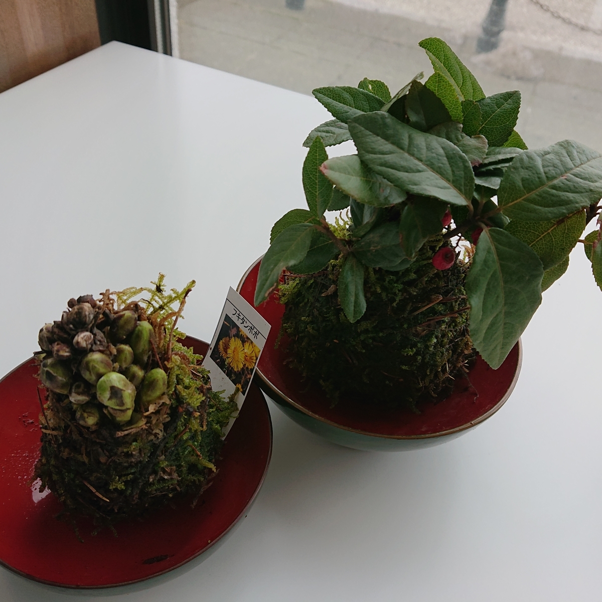 f:id:hatekota810:20191215172432j:plain