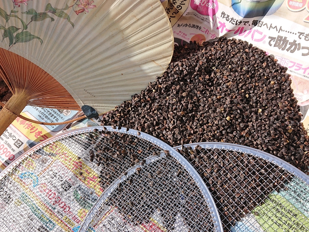 f:id:hatekota810:20201002162437j:plain