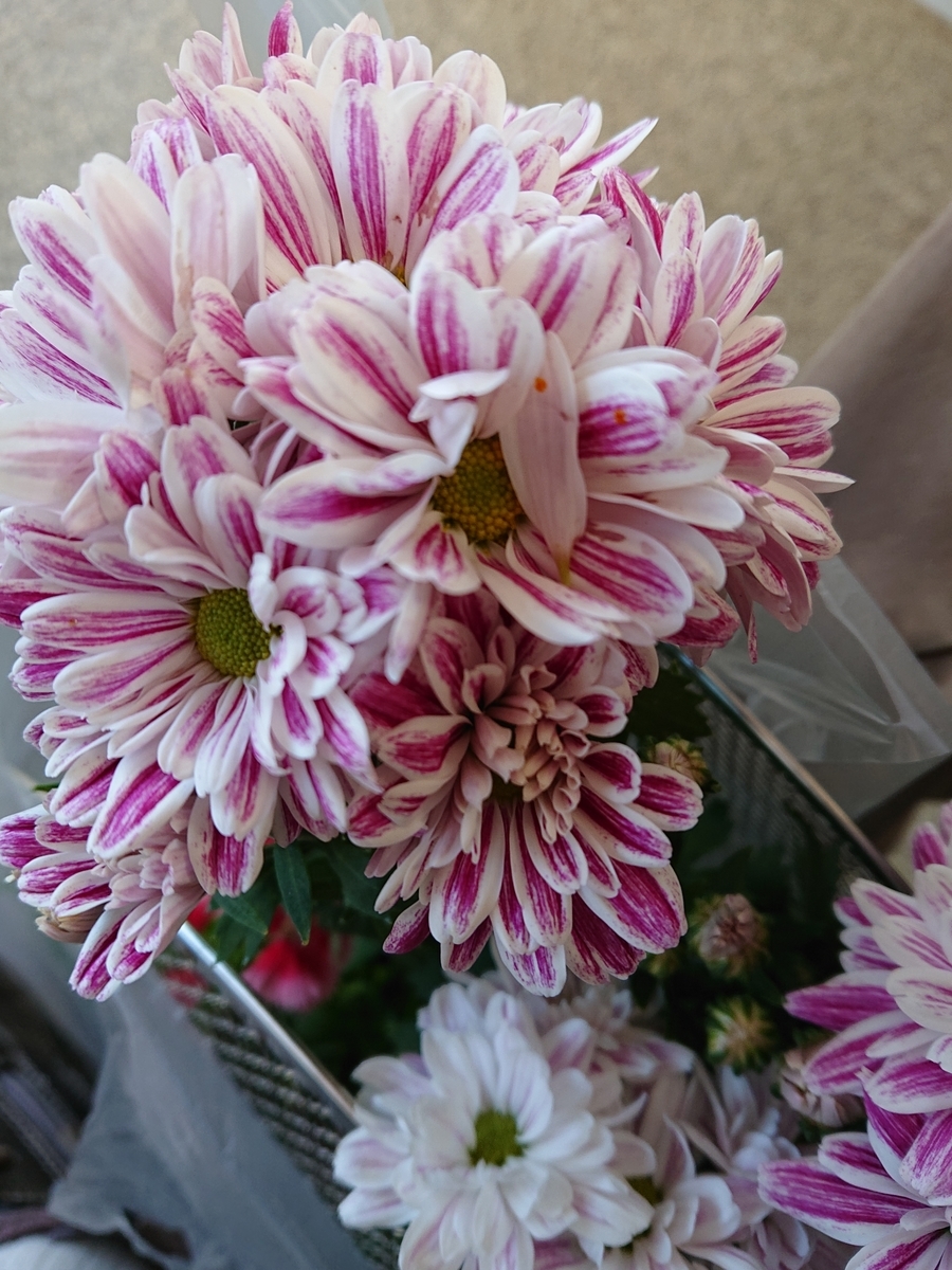 f:id:hatekota810:20201002163844j:plain