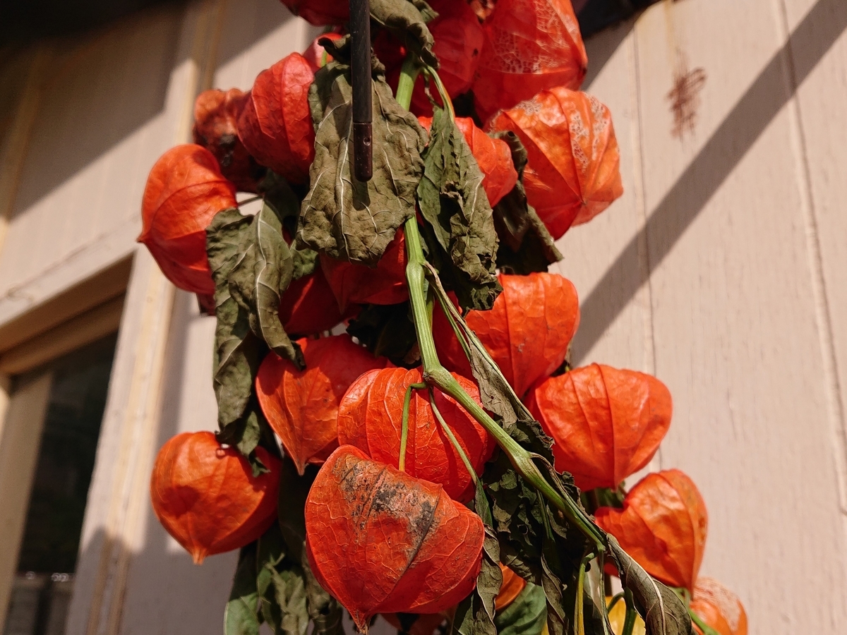 f:id:hatekota810:20201002164137j:plain