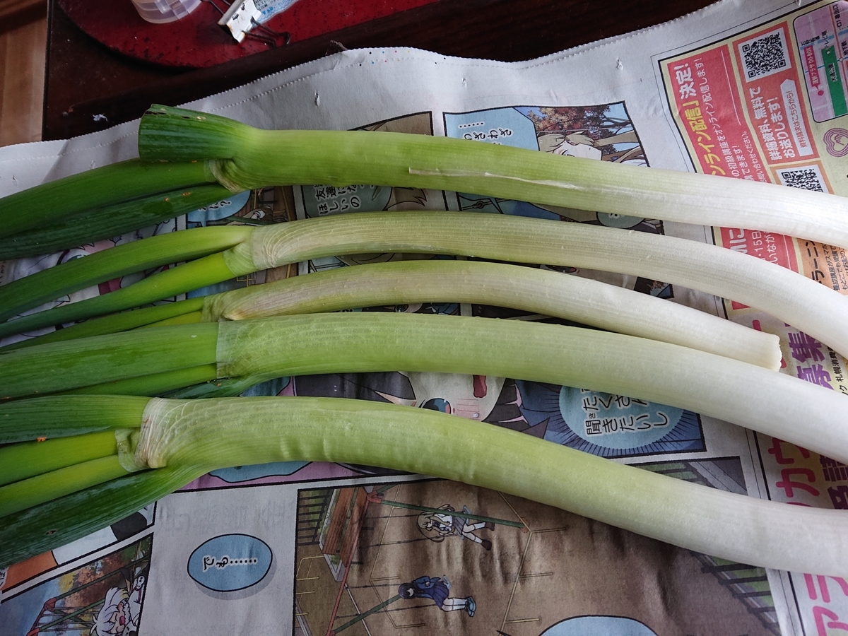 f:id:hatekota810:20201117194355j:plain