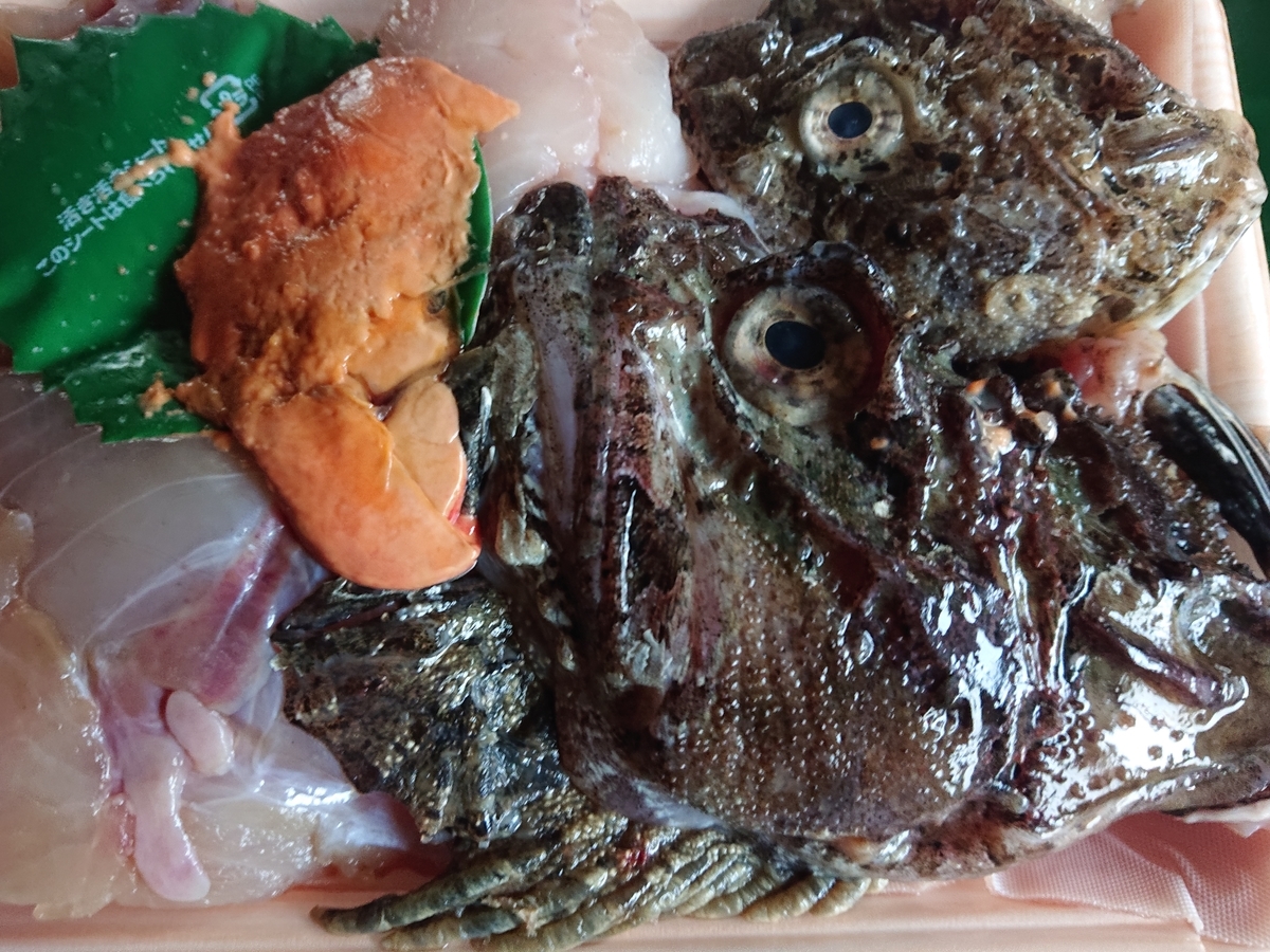 f:id:hatekota810:20201128165850j:plain