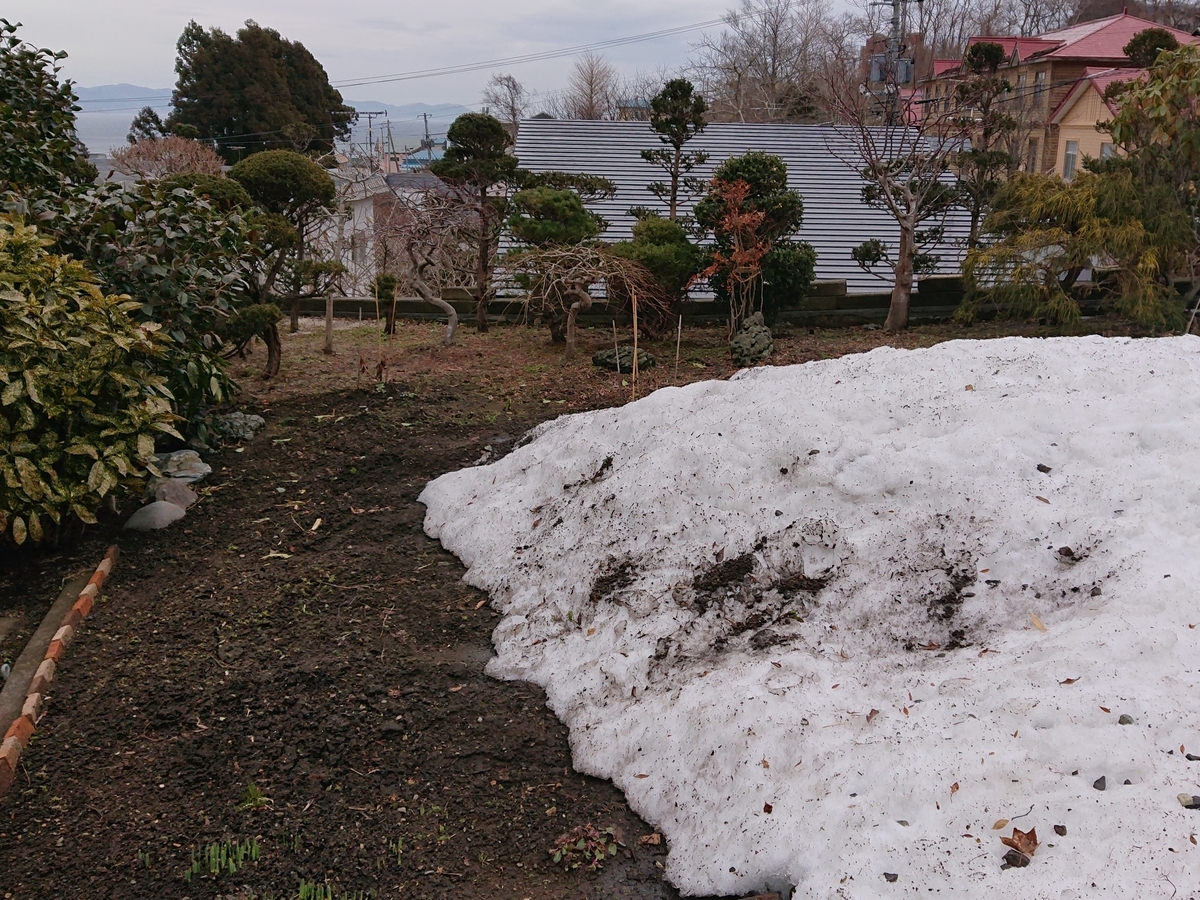 f:id:hatekota810:20210315164550j:plain