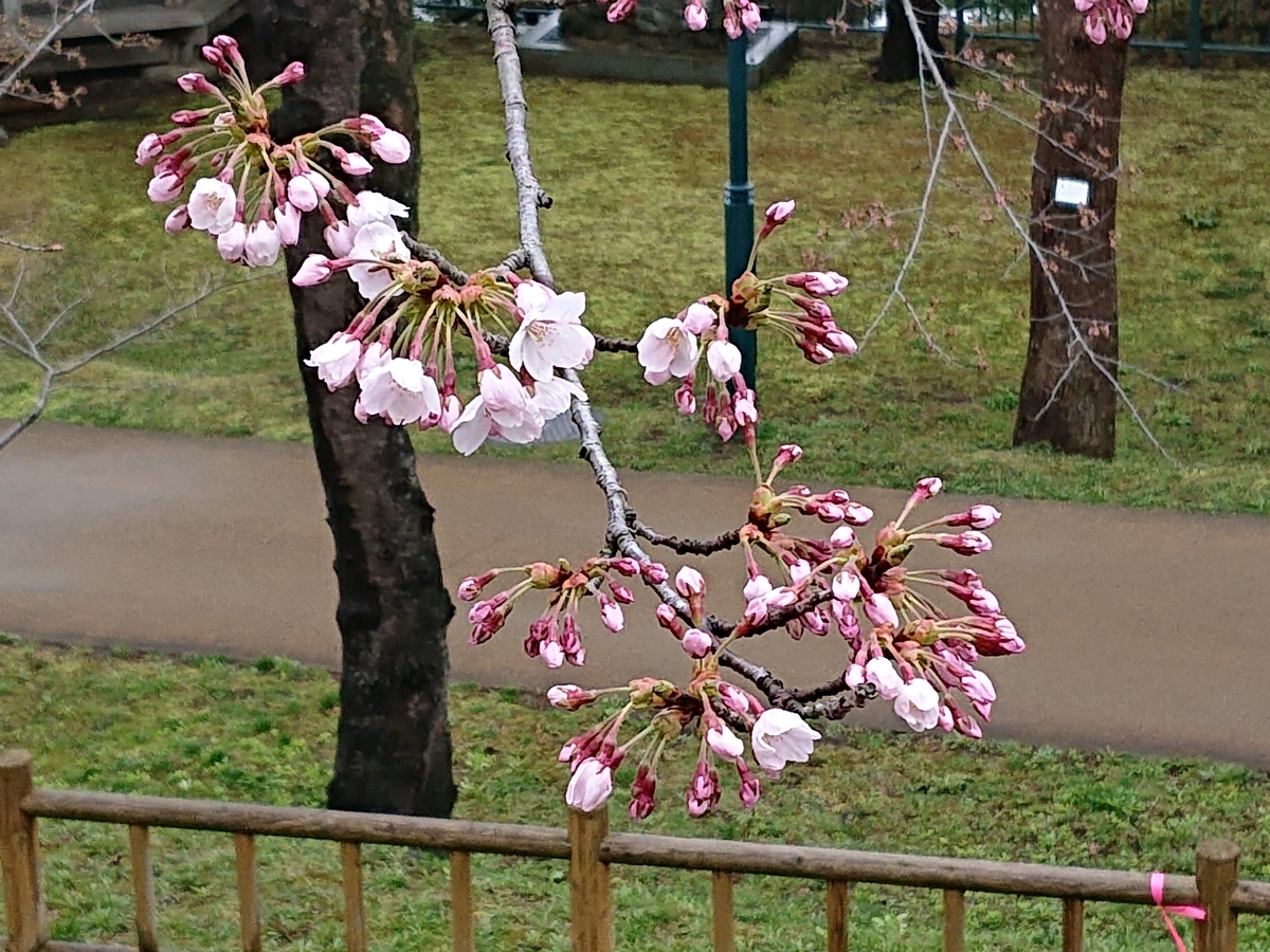 f:id:hatekota810:20210419160517j:plain