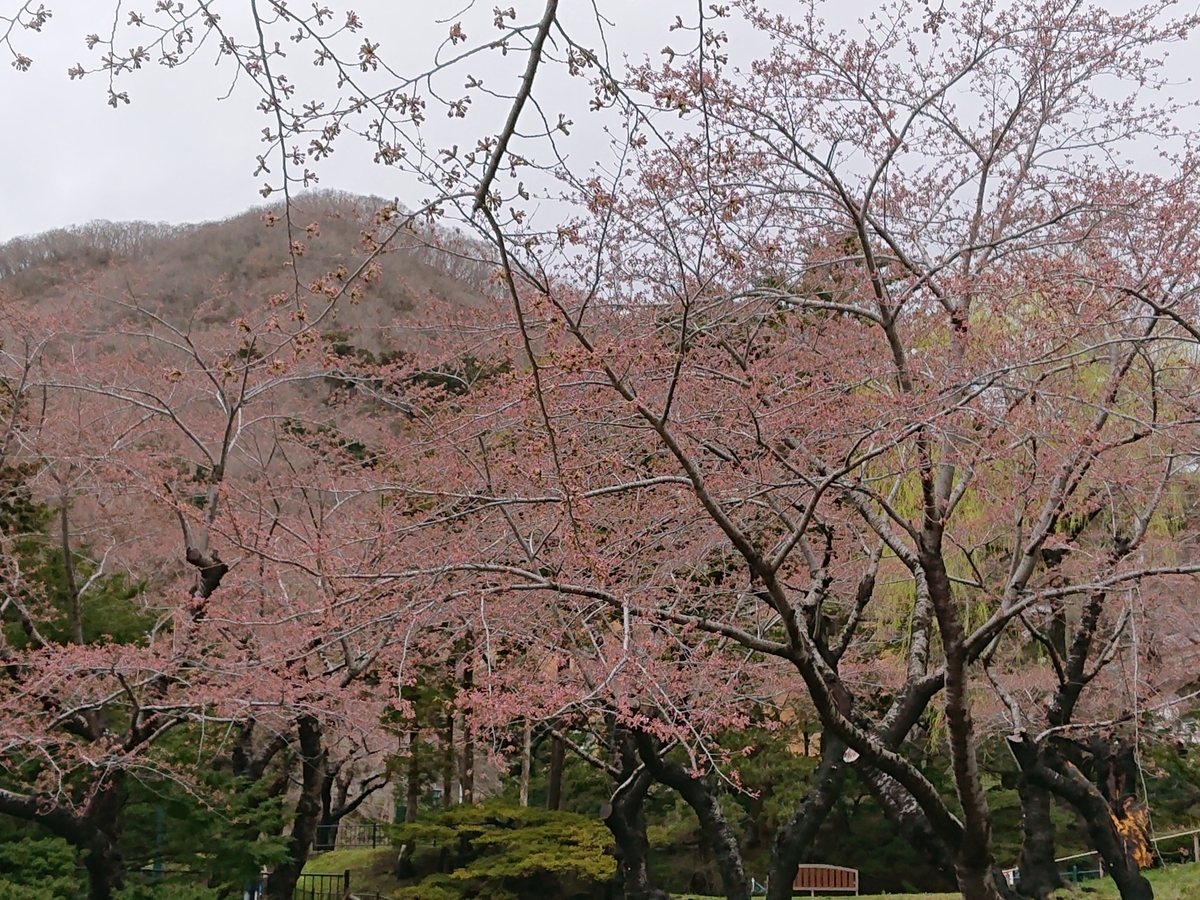 f:id:hatekota810:20210419162611j:plain