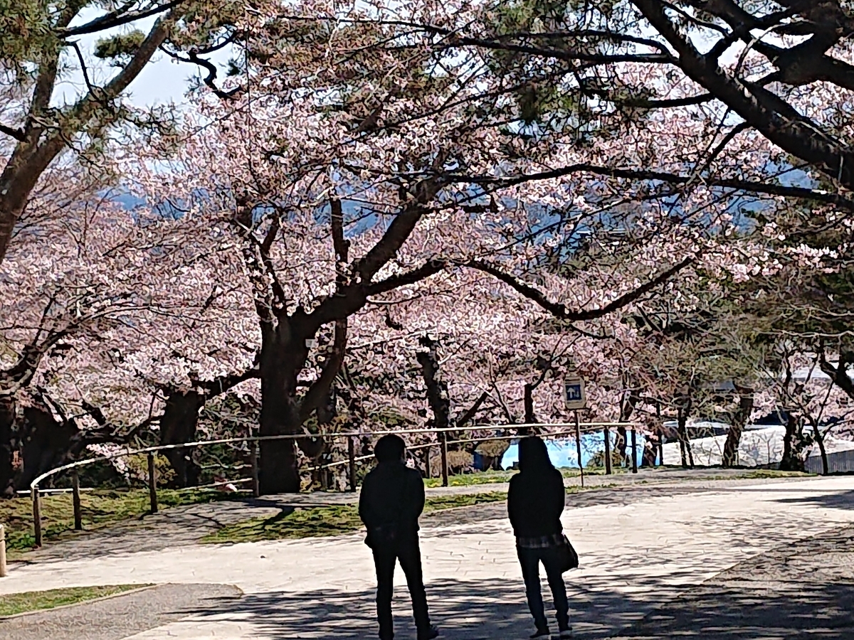 f:id:hatekota810:20210423162829j:plain