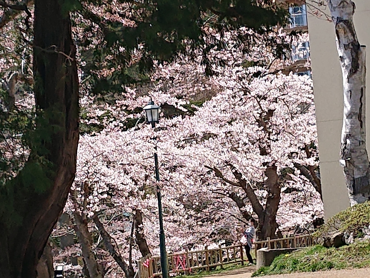 f:id:hatekota810:20210423163209j:plain