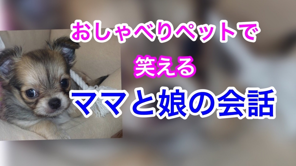 f:id:hateksokseseblog:20180602175437j:plain f:id:hateksokseseblog:20180602175437j:plain
