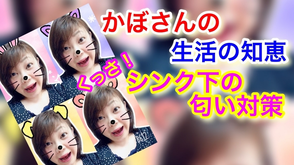 f:id:hateksokseseblog:20180629232704j:plain f:id:hateksokseseblog:20180629232704j:plain