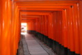 20061230113450