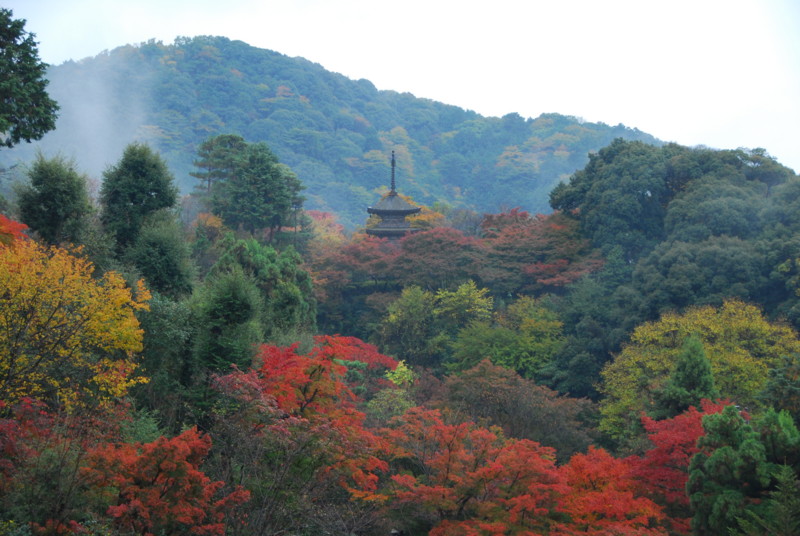 20081124150417
