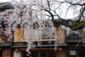 20090329070110