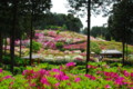 20090503105223