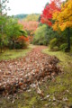 20091122100647