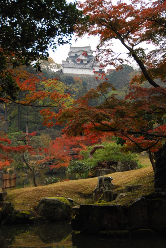 20091123104348